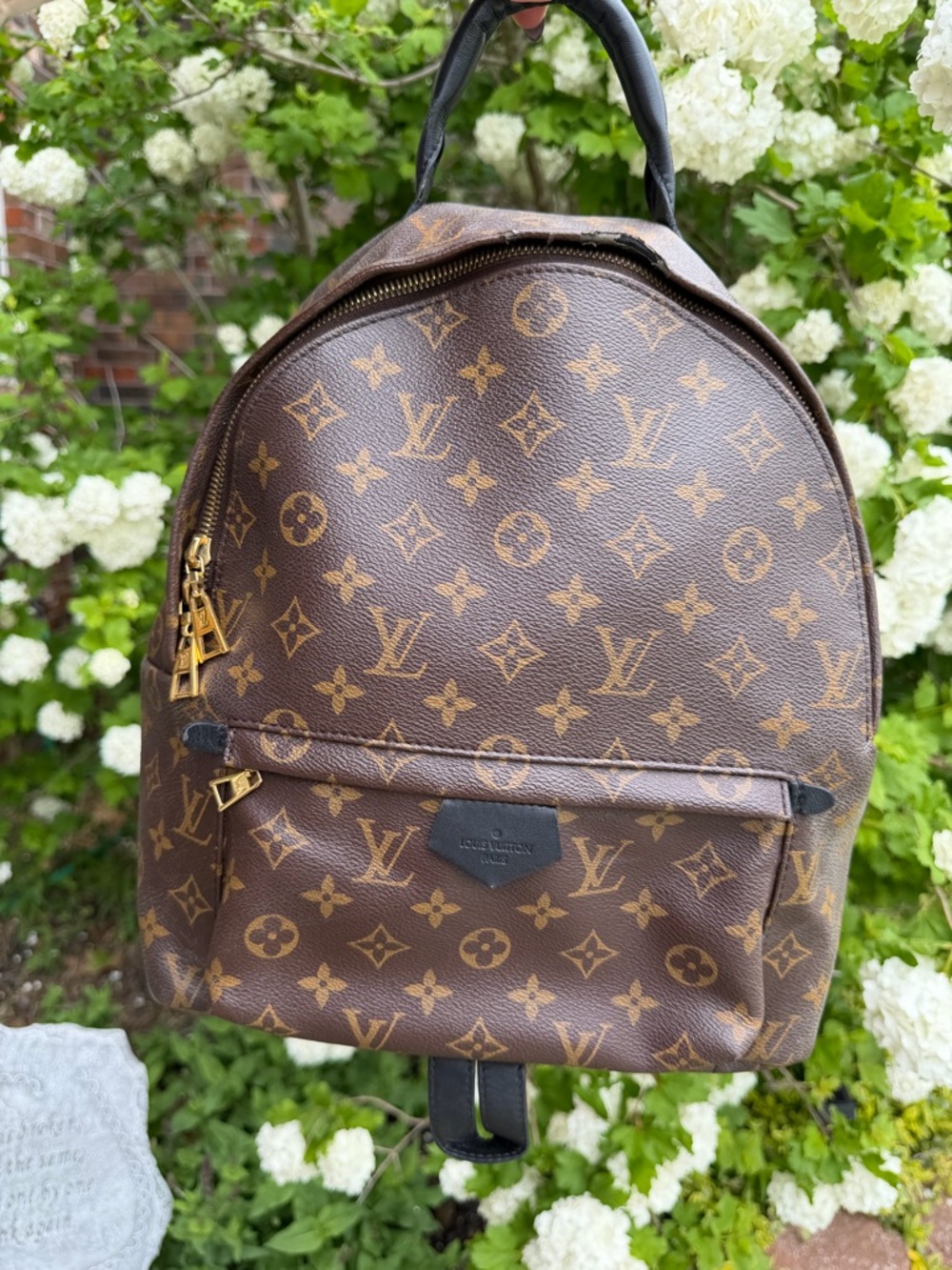 Louis Vuitton Brown Monogram Canvas Backpack Palm Springs MM PL0146